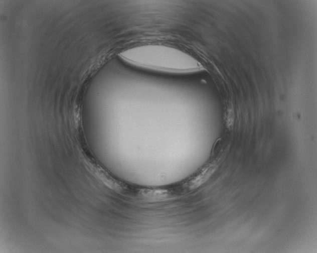 X0000070190476200605261009