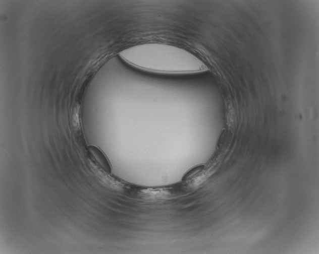 X0000070190477200605261009