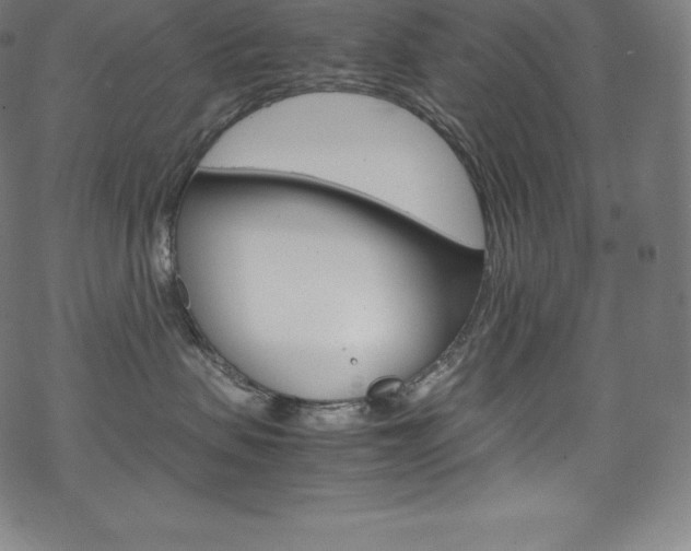 X0000070190479200605261009