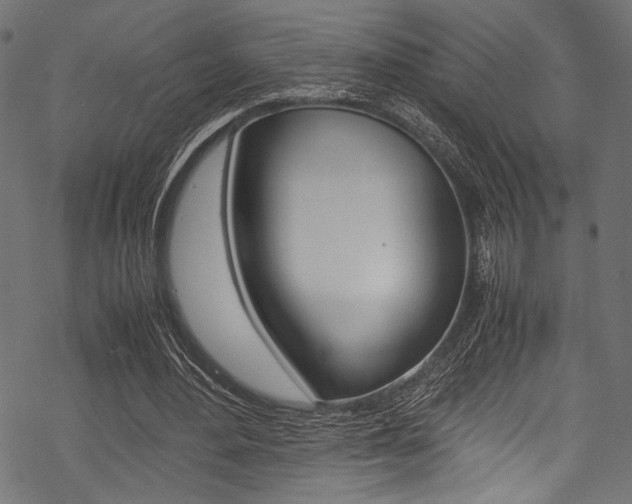 X0000070190484200605261008