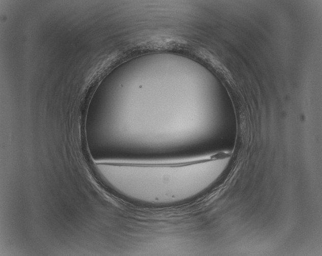 X0000070190493200605261008