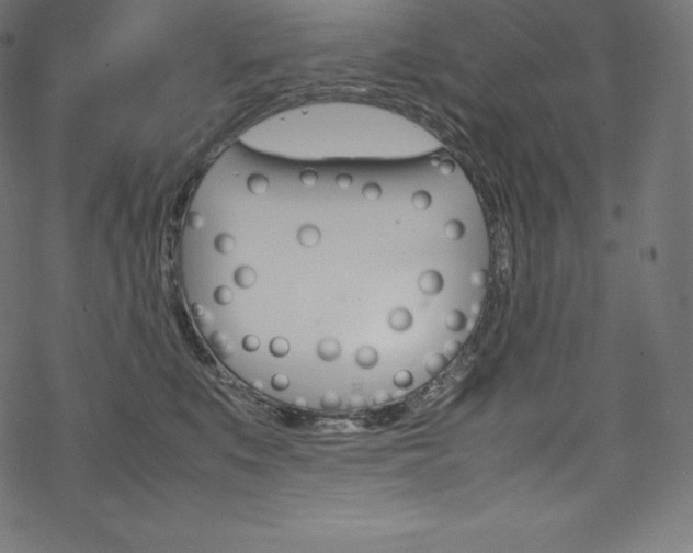 X0000070190519200605261008