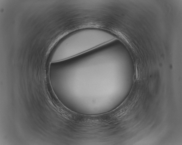 X0000070190531200605261007