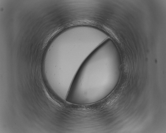 X0000070190538200605261007