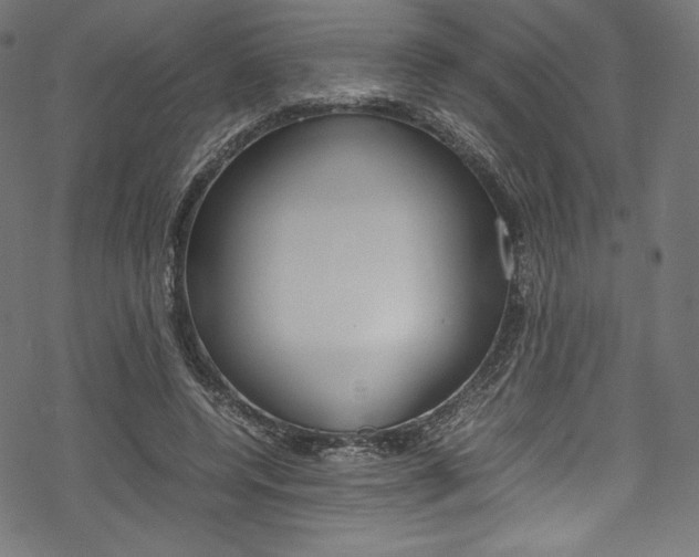 X0000070190544200605261007