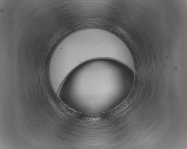 X0000070190552200605261007