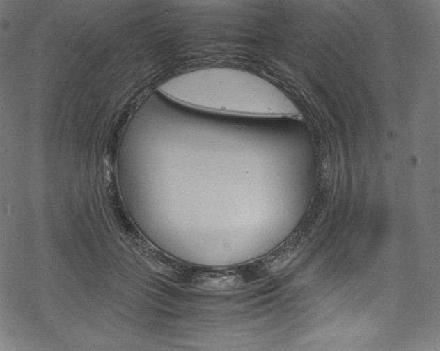 X0000070190555200605261007