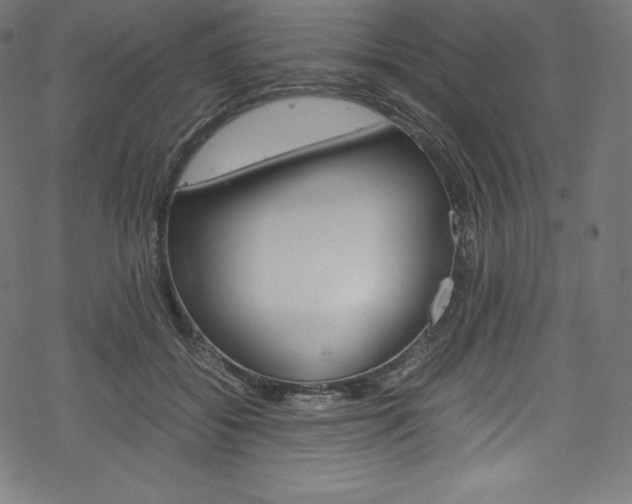 X0000070190556200605261007