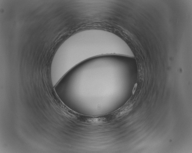 X0000070190558200605261007