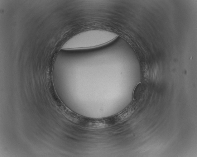 X0000070190559200605261007