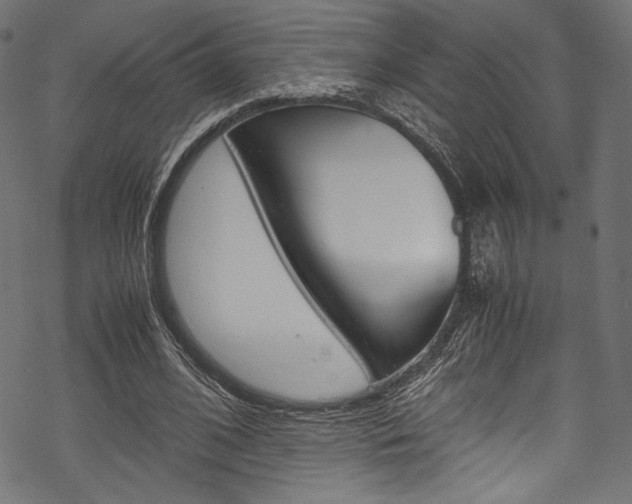X0000070190584200605261007