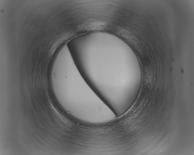 X0000070190586200605261007