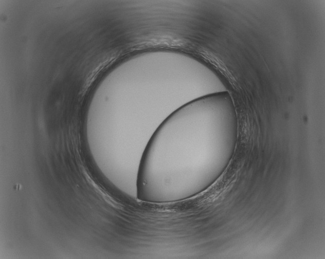 X0000070190590200605261007