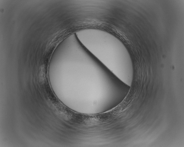 X0000070190594200605261007