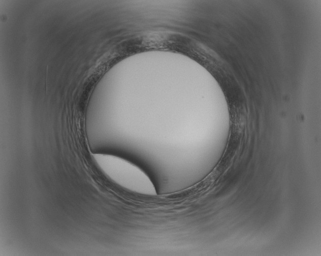 X0000070190603200605261006