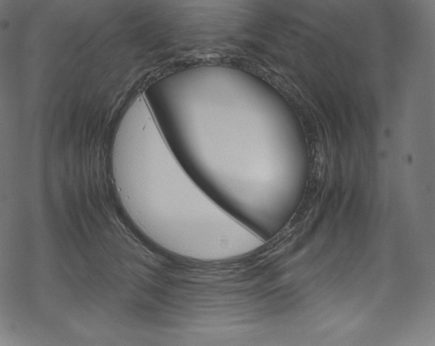 X0000070190612200605261006