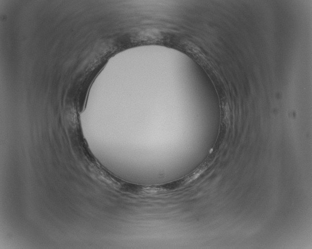 X0000070190617200605261006