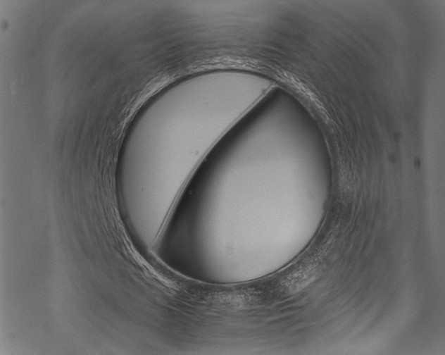 X0000070190625200605261005
