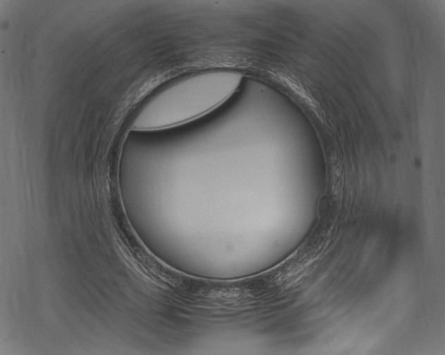 X0000070190631200605261005