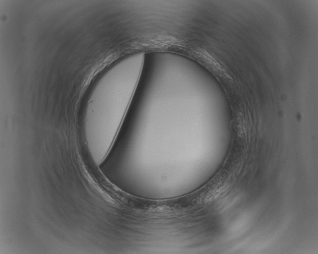 X0000070190634200605261005