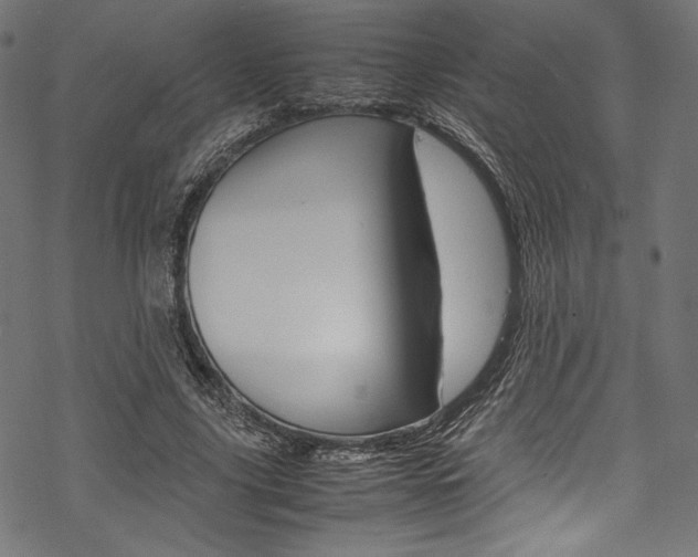 X0000070190635200605261005