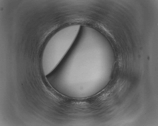 X0000070190637200605261005