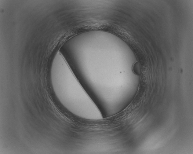 X0000070190642200605261006