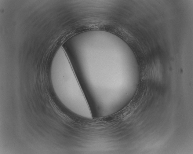 X0000070190646200605261006