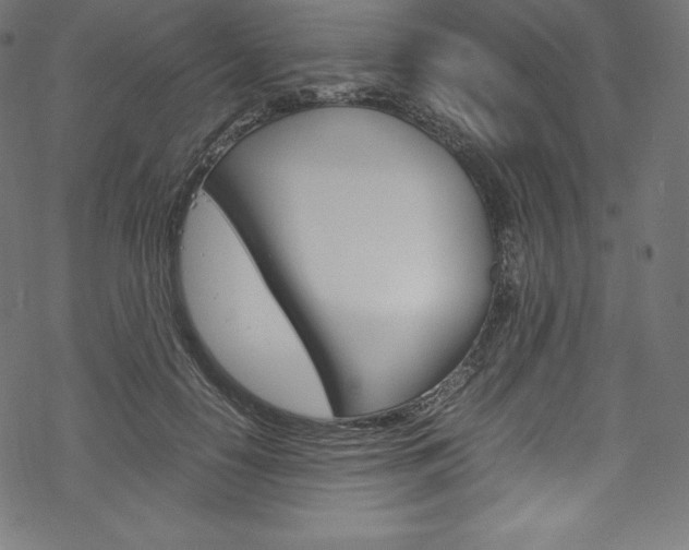 X0000070190650200605261006