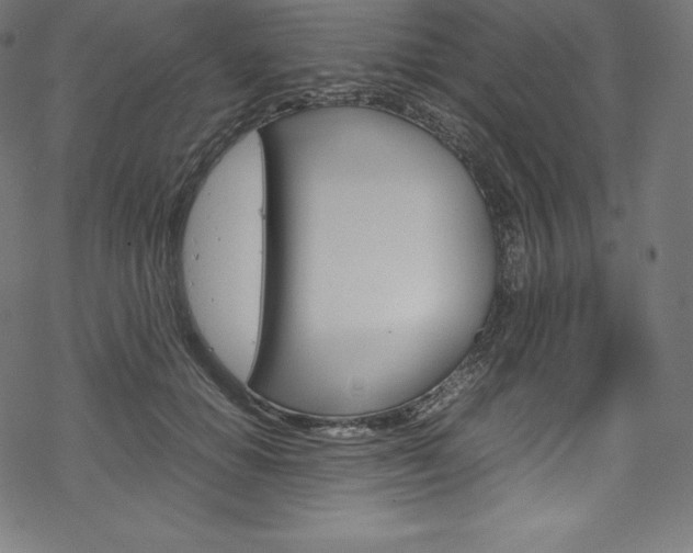 X0000070190654200605261006