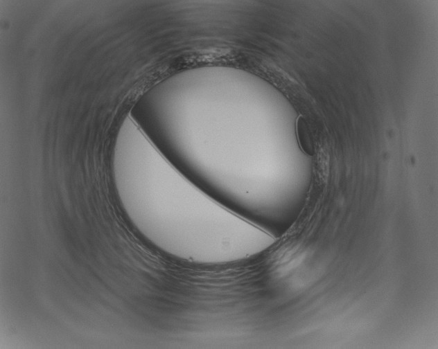X0000070190657200605261006