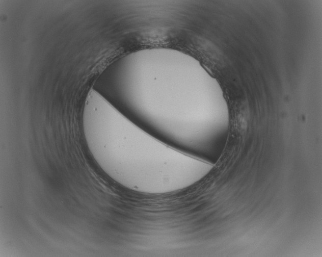 X0000070190658200605261006