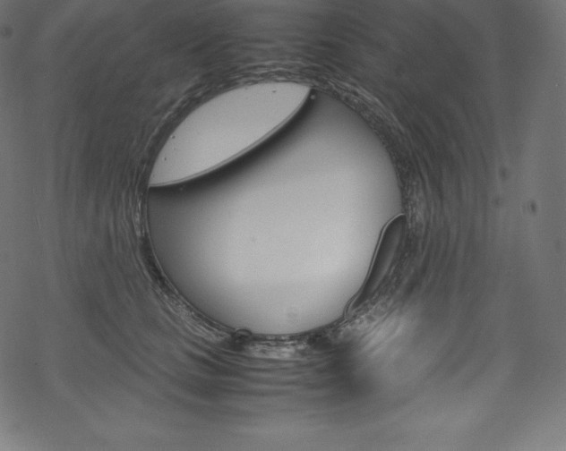 X0000070190661200605261006