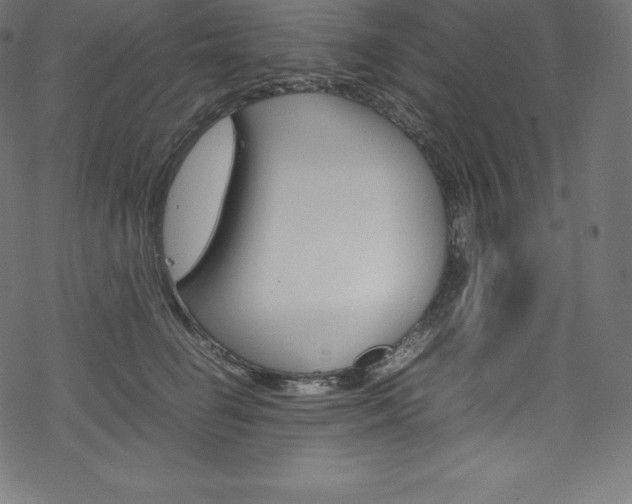 X0000070190662200605261006