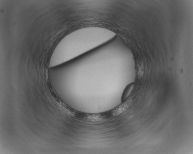 X0000070190666200605261006