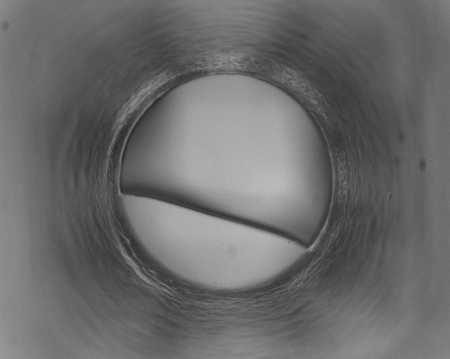 X0000070190674200605261005
