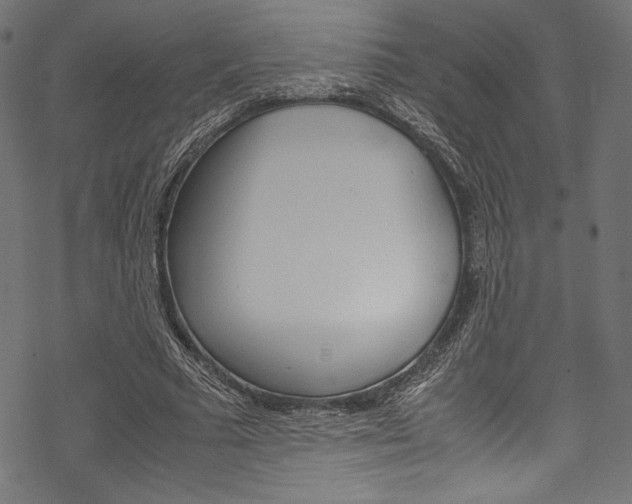 X0000070190681200605261005
