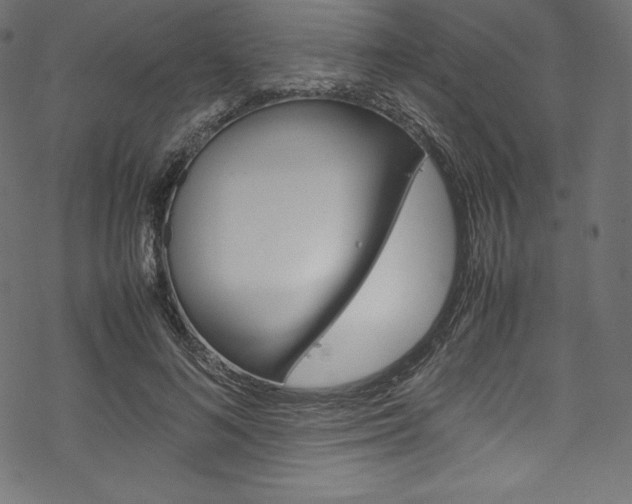 X0000070190692200605261005