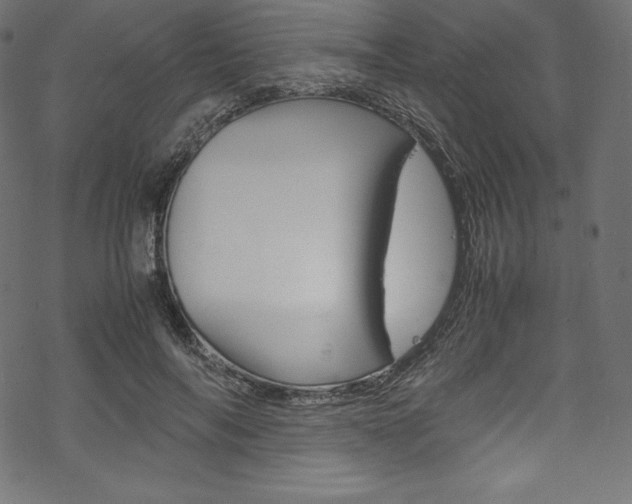 X0000070190694200605261005