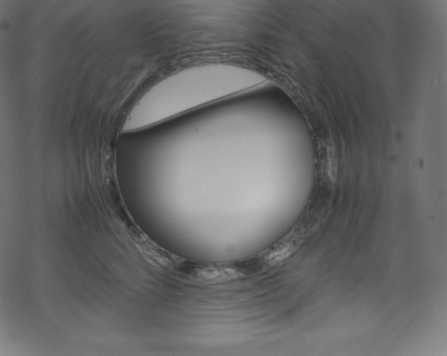 X0000070190712200605261005