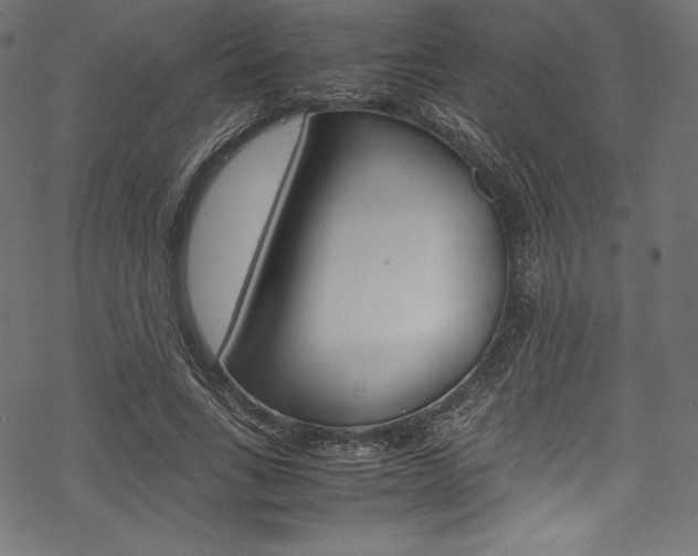X0000070190735200605261004