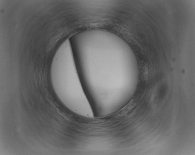 X0000070190746200605261004
