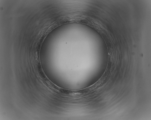 X0000070190748200605261004