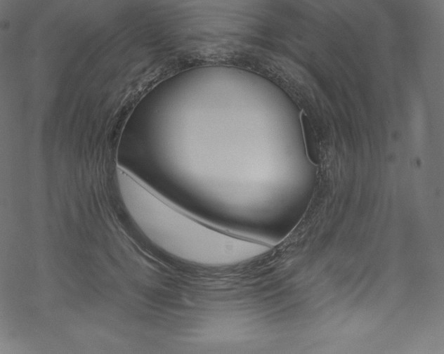X0000070190752200605261004