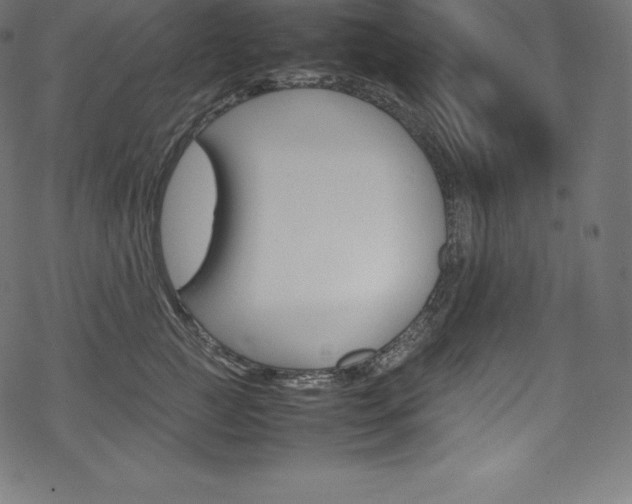 X0000070190761200605261004