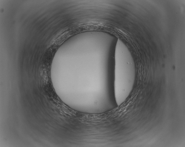 X0000070190774200605261004