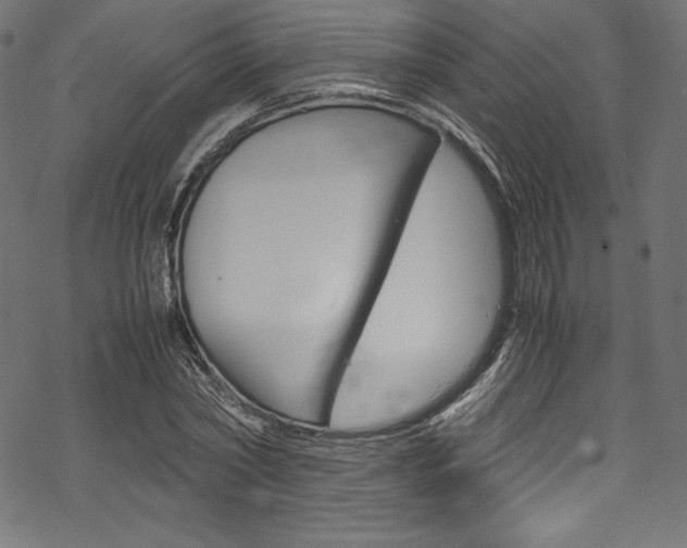 X0000070190782200605261003