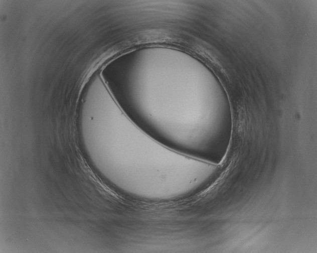 X0000070190786200605261003