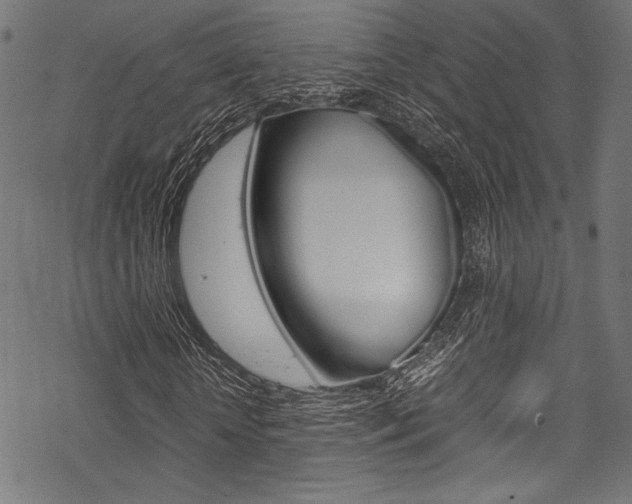 X0000070190818200605261002