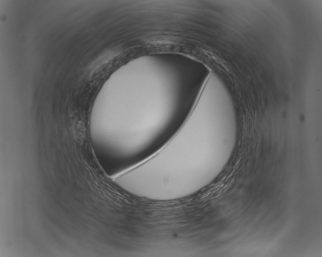 X0000070190821200605261002